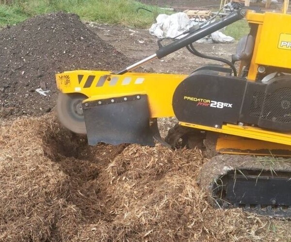 Tree Stump Grinding Specialist - Essex Photo 6
