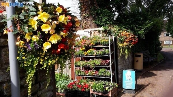 Unique High Street Garden Centre and Pet Supplies Photo 6