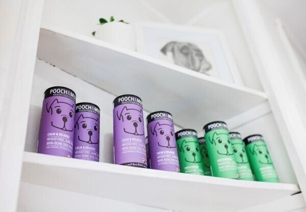 Award-Winning Dog Grooming Business for Sale in Berkshire Photo 6