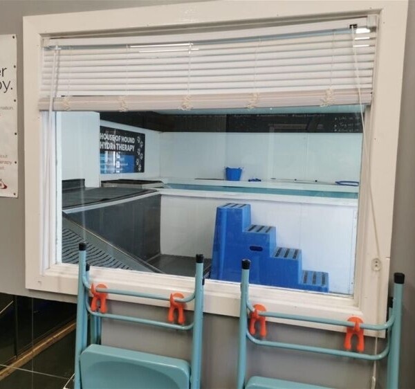 Leading Canine Hydrotherapy Centre based in Huddersfield Photo 6