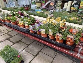 Hardware shop for sale in Bradford on Avon Photo 7