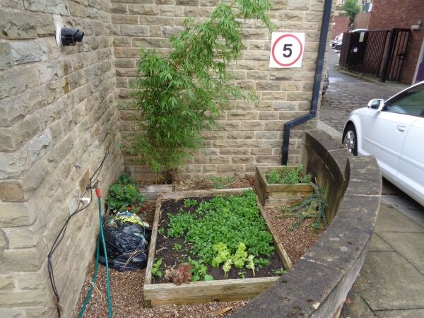 REDUCED PRICE - Unique Spa, Massage and Sauna Business in Morley, West Yorkshire Photo 6