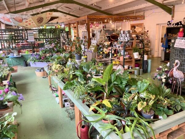 GARDEN CENTRE & CAFE Photo 6
