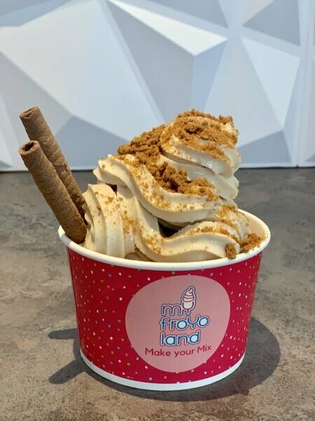 Famous Frozen Yogurt Parlour Photo 6
