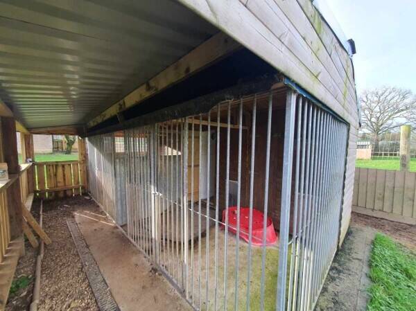 A wonderfully located kennels for sale Photo 6