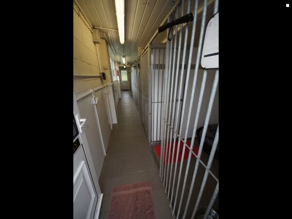 Well Established Boarding Kennels For Sale Photo 6