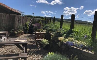 Most Popular Café & Tearoom Business, with 2-bedroom owner’s accommodation Photo 6
