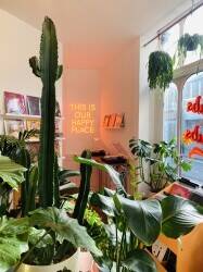 Shrubs & Dubs! The first plant and record shop! Shrubs & Dubs! The first plant and record shop!