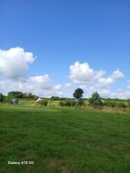Natural meadow campsite Photo 6