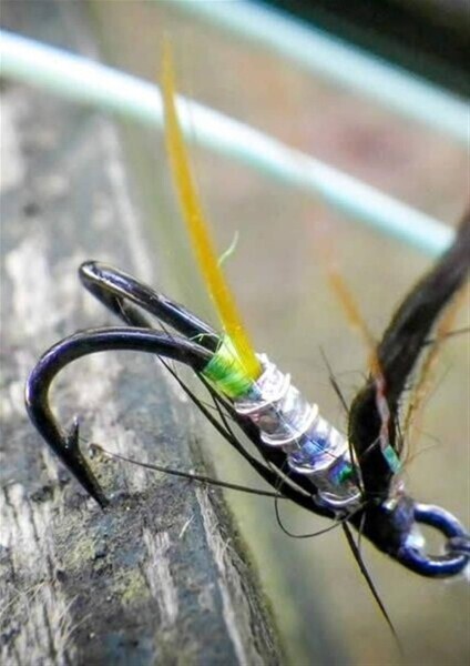 GAME FISHING BREAKS ON THE RIVER TWEED RUN FROM HOME Photo 7