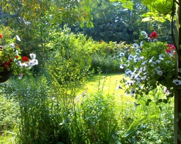 EXCEPTIONAL 4* GUEST HOUSE (7 LETTING ROOMS) – SUFFOLK Photo 7