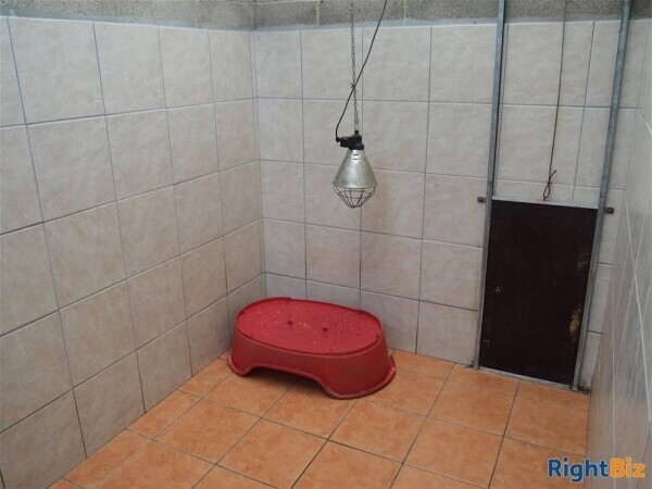 Kennels, Cattery & Equestrian businesses For Sale in Bradford Photo 7