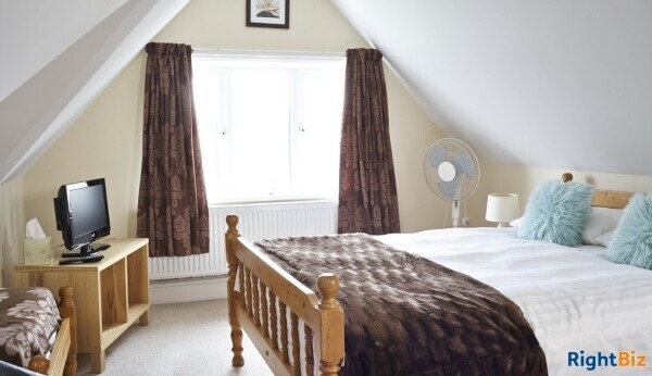 B&B in the Heart of New Forest Photo 7