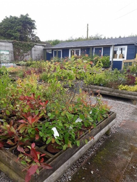 Garden Centre Business With Excellent Reputation Photo 7