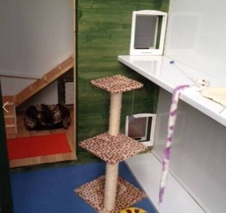 Cattery- East Yorkshire Photo 7