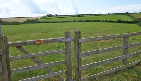 Family Home & Boarding Kennels Licensed For 60 Photo 7