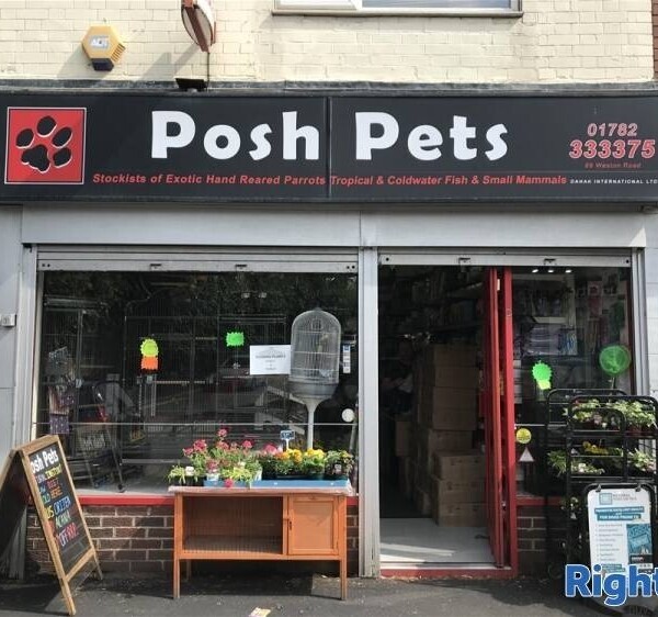 HIGHLY PROFITABLE RETAIL & ONLINE LIVE PETS & SUPPLIES CENTRE NEAR STOKE ON TRENT Photo 7