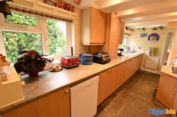 Kennels, Cattery & Equestrian businesses For Sale in Ventnor Photo 7