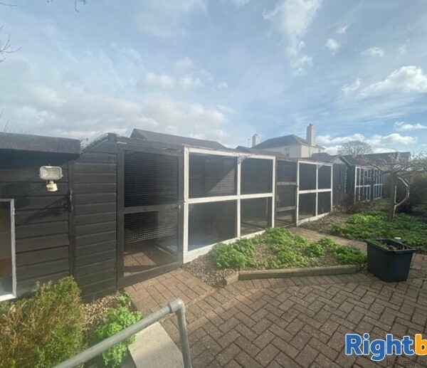 20 Year Established Cattery and Stunning Extensive Family Home Photo 7