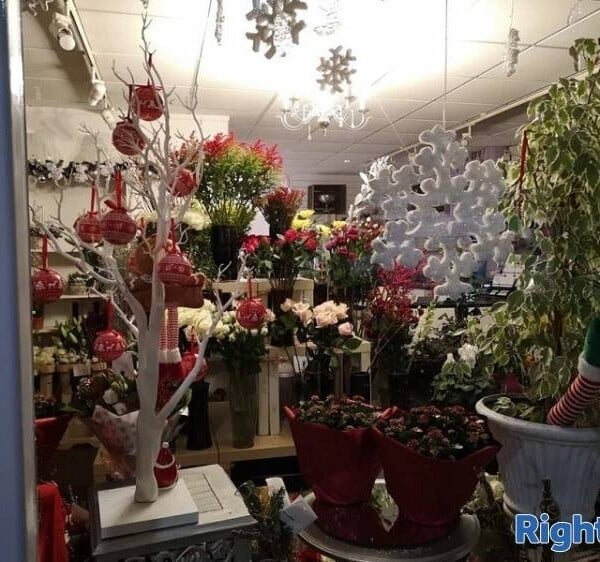 Long Standing Florist business for sale Photo 7