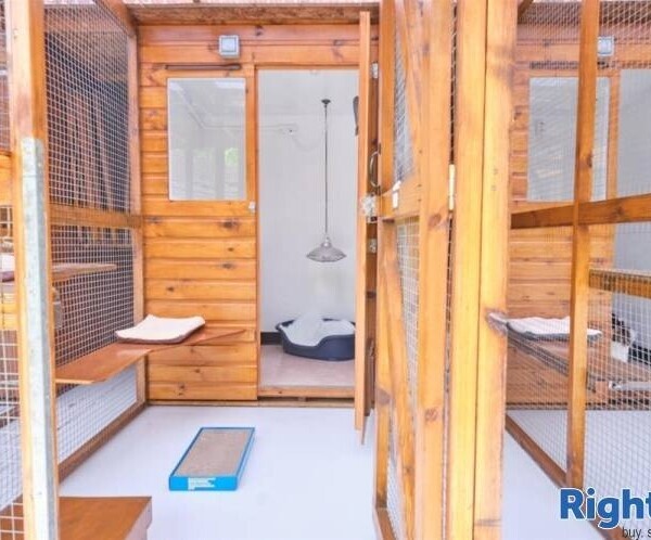 Cattery - Scottish Borders Photo 7