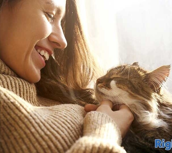 Exciting opportunity to buy an established pet care business in Cardiff Photo 7