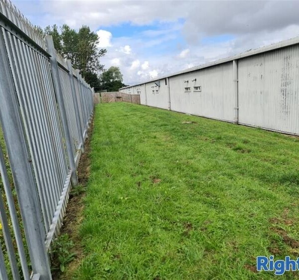 A Well Established & Equipped Dog Day-care Centre Photo 7