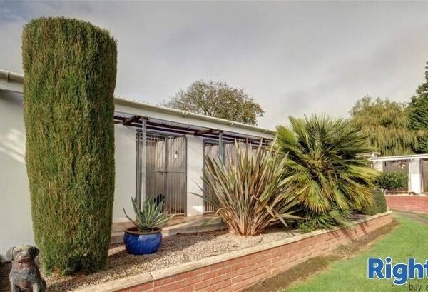 Kennels, Cattery & Equestrian businesses For Sale in Monmouthshire Photo 7