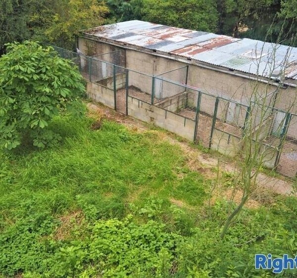 Kennels, Cattery & Equestrian businesses For Sale in Sherburn in Elmet Photo 7
