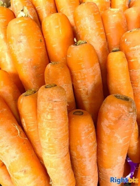Beautiful high quality local Greengrocers- North Cornwall Photo 7