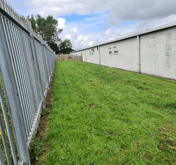 A Well Established & Equipped Dog Day-care Centre Photo 7