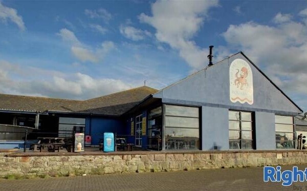 AQUARIUM AND CAFE - CUMBRIA Photo 7
