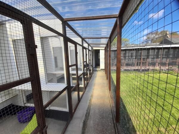 Kennels, Cattery & Equestrian businesses For Sale in Ferryhill Photo 7