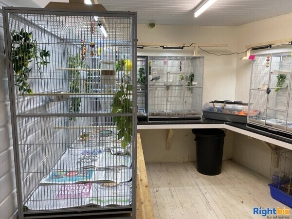 Highly successful Pet And Hardware shop Photo 7