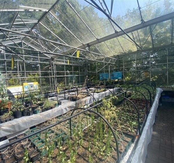Garden Centre & Horticulture For Sale in Crewe Photo 7