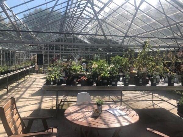 Leasehold Café/Restaurant & Garden Centre Located In St Tudy Photo 7