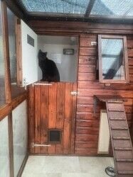 Cattery - Weston Super Mare Photo 7