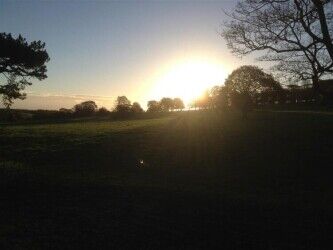Delightful 5 Star Rated Licensed Boarding Kennels & Cattery - South Yorkshire Photo 7