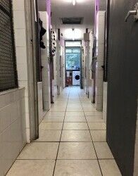 Under Offer: Kennels - Dumfries & Galloway Photo 7