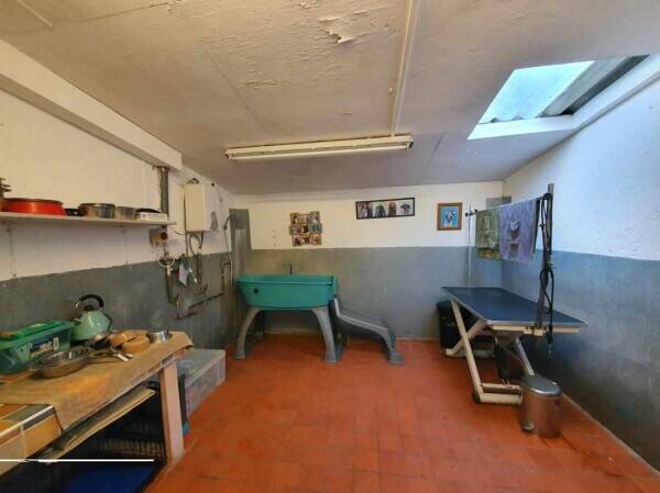 A wonderfully located kennels for sale Photo 7