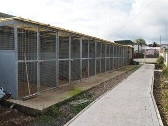 Kennels, Cattery & Equestrian businesses For Sale in Leeds Photo 7