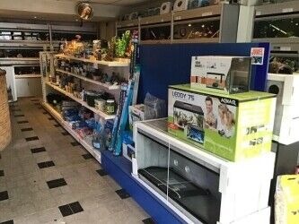 Well established aquatic pet shop for sale Photo 7