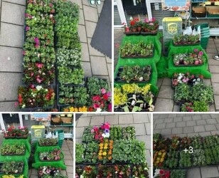 Convenience Store with Fruit & Veg in Cardiff area Photo 7