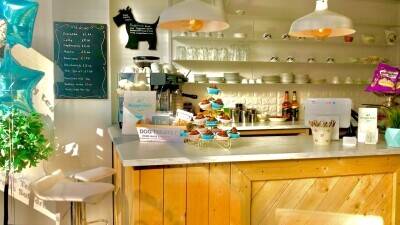 This is an excellent opportunity to purchase a well-established dog grooming business in East Sussex Photo 7