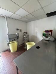 Fish and chips shop Photo 8