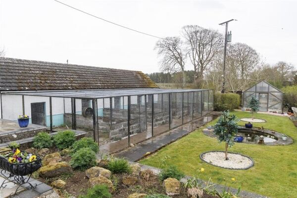 Closed Licensed Boarding Kennels - Carnwath, Lanark, Scotland Photo 7