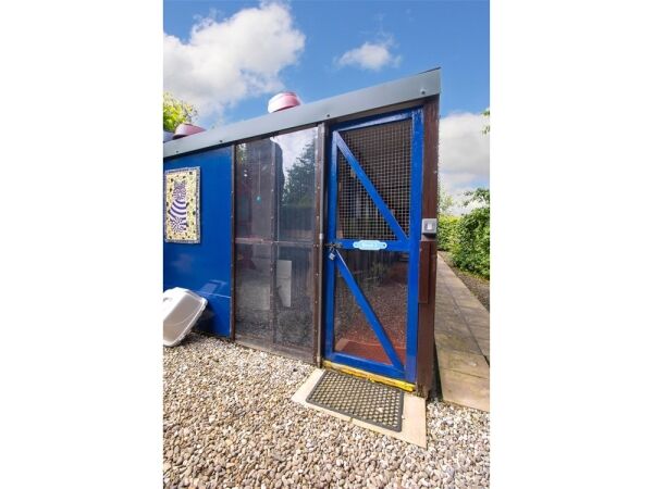 Copperfield Cattery Photo 7