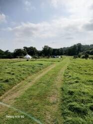 Natural meadow campsite Photo 7