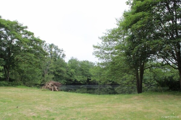 FREEHOLD VILLAGE STORE / NEWSAGENT WITH ADJOINING 3 BEDROOM BUNGALOW LARGE GARDEN WITH FISHING LAKE Photo 8