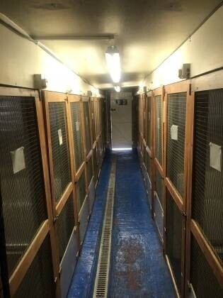 Former Kennels And Cattery for sale in Glasgow Photo 7